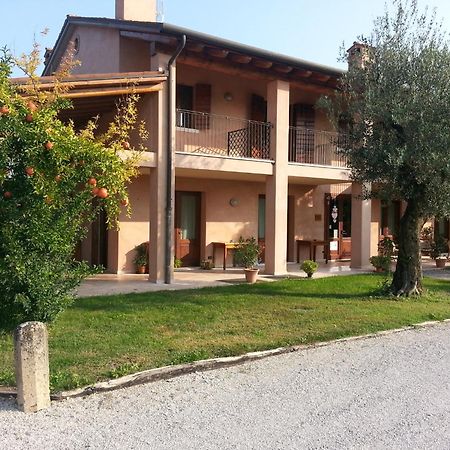 Agriturismo Morgan Montebelluna Eksteriør billede