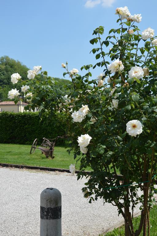 Agriturismo Morgan Montebelluna Eksteriør billede