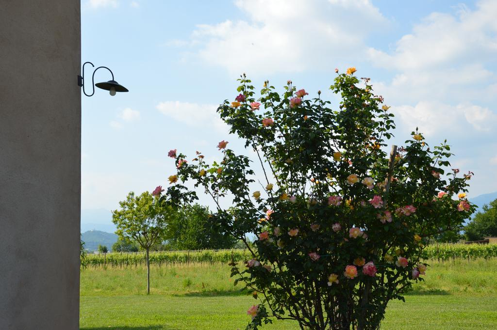 Agriturismo Morgan Montebelluna Eksteriør billede